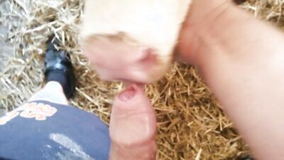 Dog girl anal: dog horse 3d porn