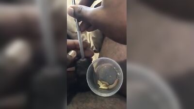 Dogs having sex: fuck dog sex anal zoogirls seamlees com