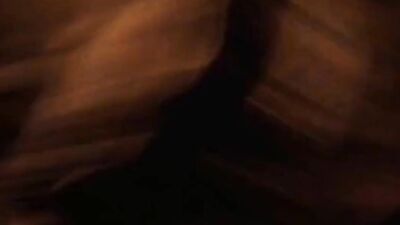 Animal porno: dog porn sluts