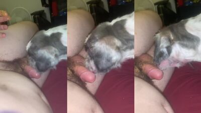 Girl having dog: dog sex alison
