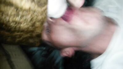 Bestiality hentai: anya forger x dog porn