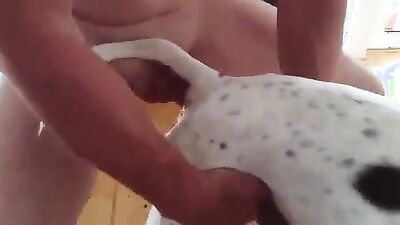 Dog sex porno: zoo sex korova