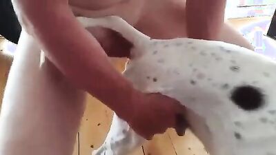 Dog sex porno: zoo sex korova