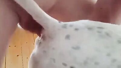 Dog sex porno: zoo sex korova