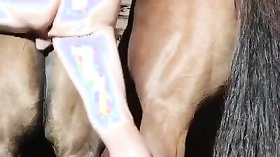 Zoo porn video: bestiality teen dog