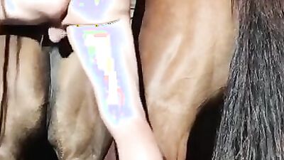 Zoo porn video: bestiality teen dog
