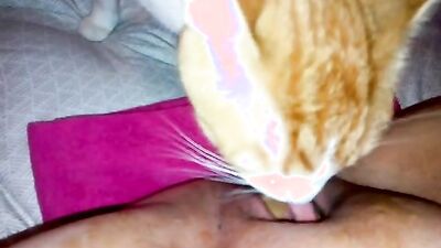 Dog porn video: hidden zoo sex