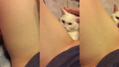 Teen zoo porn: zoo sex blondes