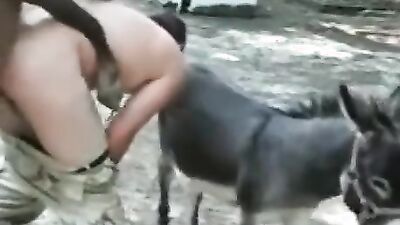 Animal sex: dog sex show