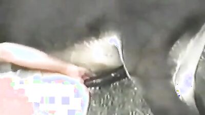 Dog girl 1: hard sex with animals pain