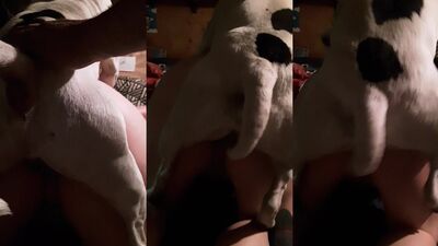 Dog sex porno: hardcore bestiality