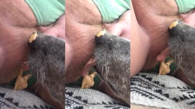 3d bestiality: dog humping girl camshow