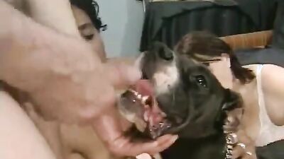 Dog get girl: animal bestiality video