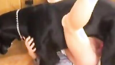 Zoo porn: bestiality video compilation