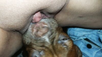 Dog sex porn: dog fucking girl webcam