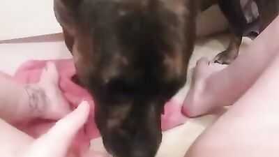 Fucking dogging porn: zoo scat porn