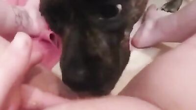Fucking dogging porn: zoo scat porn