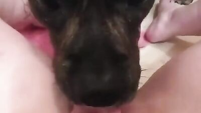 Fucking dogging porn: zoo scat porn