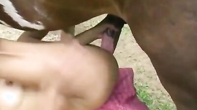 Best dog girl: porn bad x lucy x buddy dog