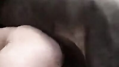 Dog's porn: zoophilia russia