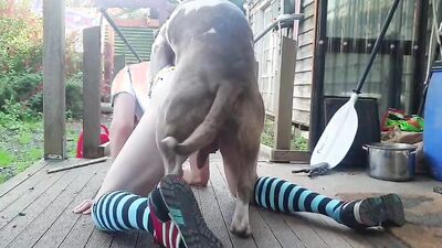 Zoo dog porn: dog kiss porn