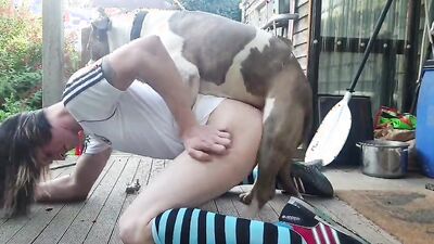 Zoo dog porn: dog kiss porn