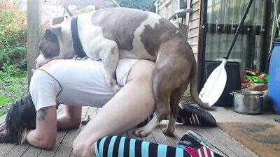 Zoo dog porn: dog kiss porn