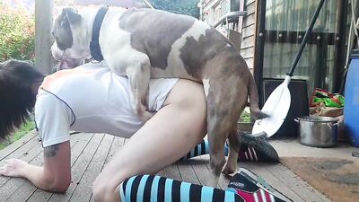 Zoo dog porn: dog kiss porn