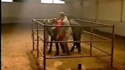 Porn comics bestiality: orgasmus durch ihren hund bestiality retro