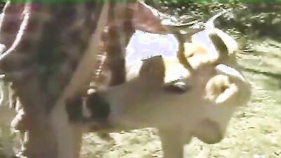 Dog fuck porn: drink dog porn