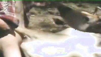 Dog fuck porn: drink dog porn