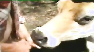 Dog fuck porn: drink dog porn