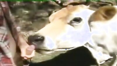 Dog fuck porn: drink dog porn