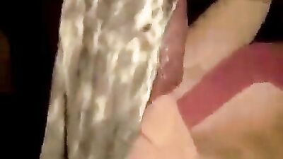 Zoo porn girls: porno zoophilia gay