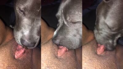 Dog get girl: girl dog hard