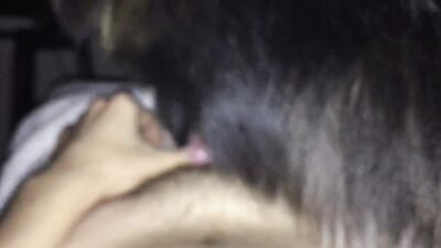 Teen zoo porn: zoo porn torrent