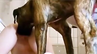 Animal cross porn: monster dog cock porn photo