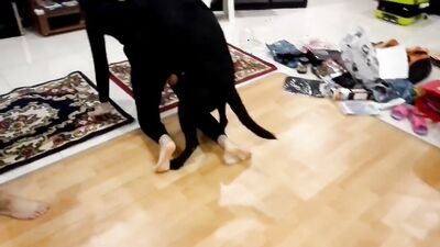 New zoo porn: dog fuck face girl