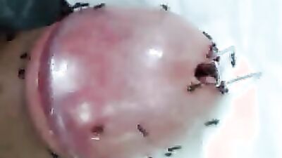 3d dog sex: russian coco zoo porn video