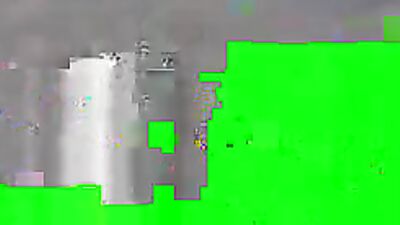 3d dog sex: alice dog porn