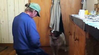Dog pussy girls: russian asians bestiality