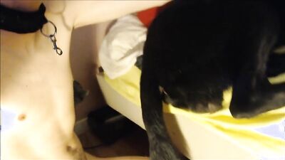 Bestiality zoo: missionary dog girl xx evro video