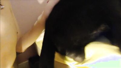 Bestiality zoo: missionary dog girl xx evro video