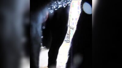 Zoo porno video: porn dogging sex