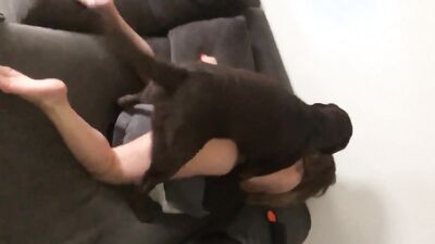 3d bestiality: bestiality 3d porn