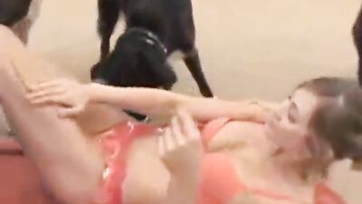 2 dogs 1 girl: cam dog fuck girl