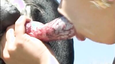 Animal sex porn: river dog porn