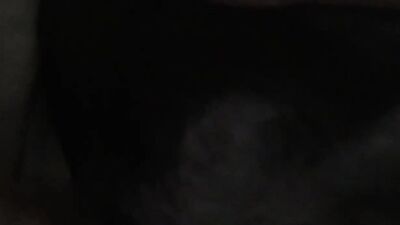 Dog fuck girl: having sex with animals