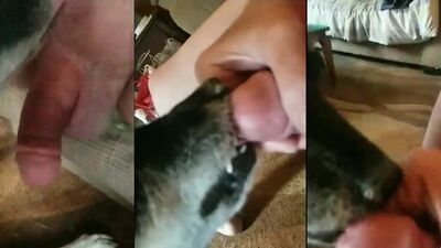 Zoo porno video: girl lets her dog