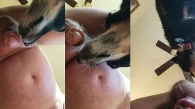 Dog fuck porn: zoo porn cumshot